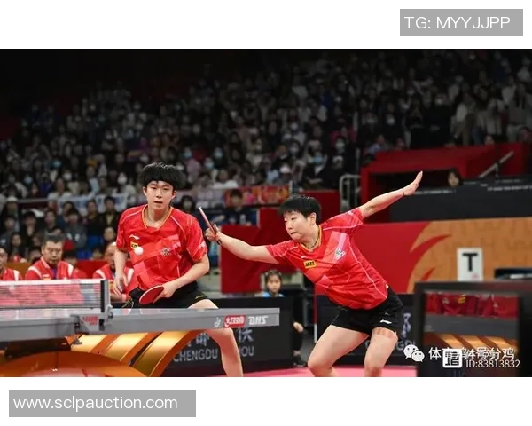 上海乒乓球队团队协作模式深度解析与其他球队的对比研究 上海乒乓球队团队协作模式深度解析与其他球队的对比研究