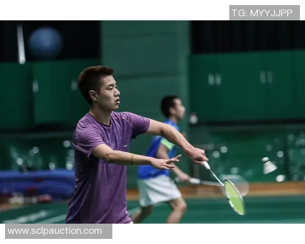 北京羽毛球队阵地战解析：战术布局与选手表现的深度剖析