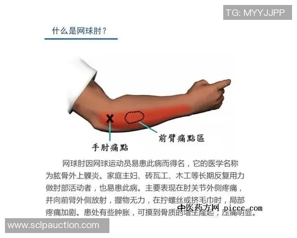 杭州网球队反击之路的得与失全面分析与展望