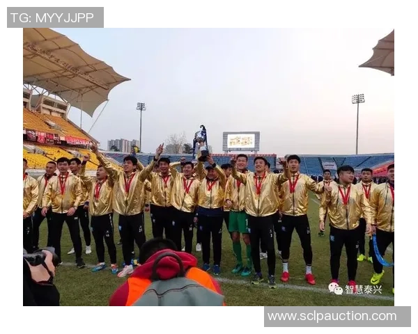 泰兴足球明星盘点与成就分析揭示他们的辉煌历程与影响力