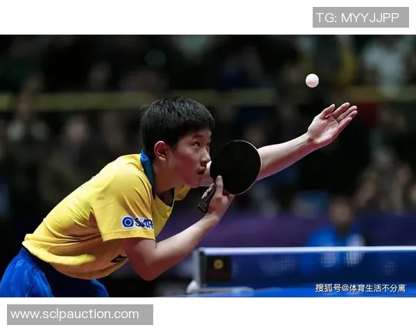 上海滑板队在比赛中的整体表现分析与战术得失探讨