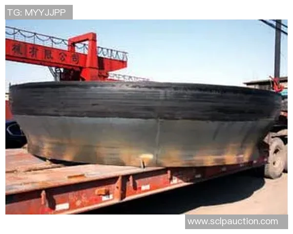 专业解析LNG市场的整体压制策略与未来发展趋势探讨