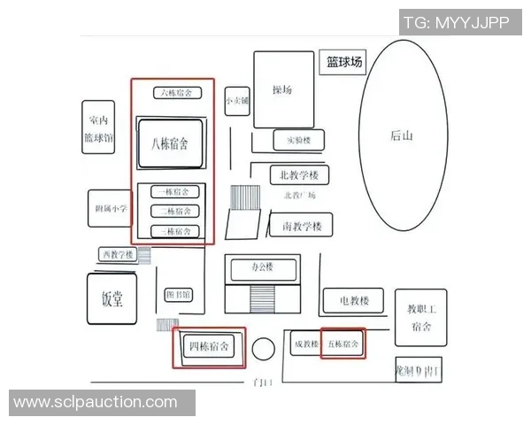深圳网球队包夹战术创新与发展全景解析