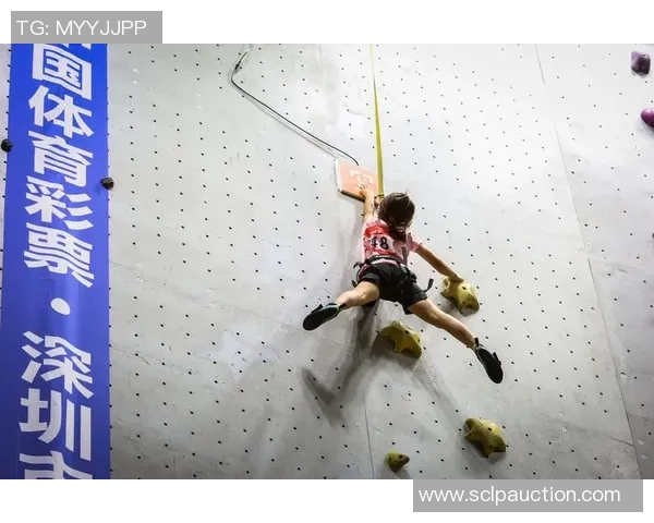 武汉攀岩队在全国攀岩团队协作排行榜中荣获第十名的佳绩