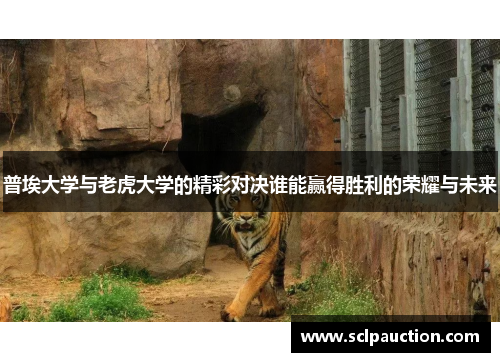 普埃大学与老虎大学的精彩对决谁能赢得胜利的荣耀与未来